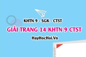 Giải KHTN 9 trang 14 Chân trời sáng tạo SGK